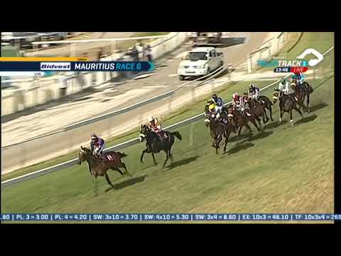 2020.11.01 The Goldfinger - MTC 175th Anniversary Cup (MRI) - Alyaasaat