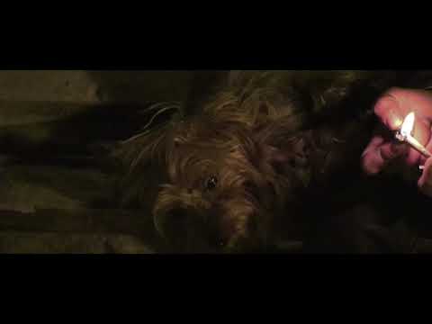 CINK - SINTIGO (feat. OSNOLA)