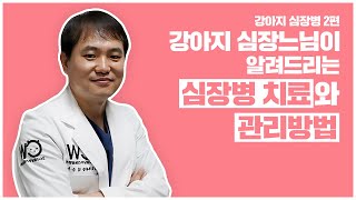 강아지 심장전문수의사선생님이 알려드리는 심장병 치료와 관리방법