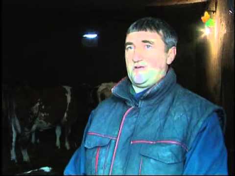 TV Magazin 9.2.2014.2 casc - ТВ Маґазин 9.2.2014. 2 часц