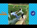 AWW New Funny Videos 2022 😂 Cutest People Doing Funny Things 😺😍 Part 37