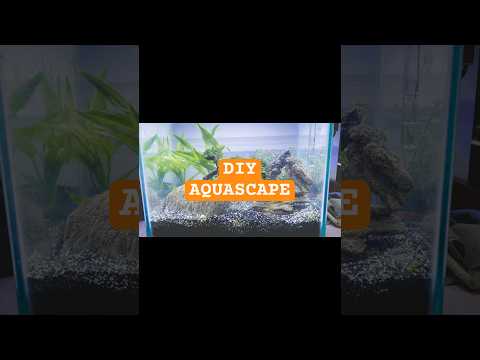 DIY AQUASCAPE #aquascape #DIY #diyproject #daydreamer