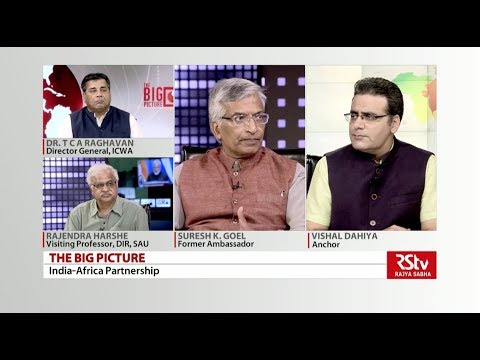 The Big Picture - India Africa Partnership