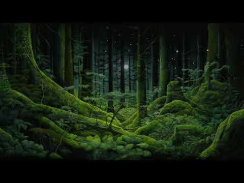 Forestpsy - Forest - Psychedelic set (mixed by Technoplant) DeeJay