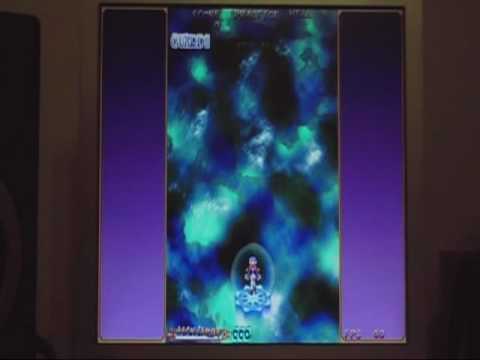 Eden's Aegis - True Last Boss (1 credit clear, wait off)