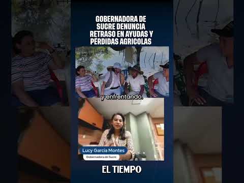Gobernadora de Sucre denuncia retraso en ayudas y pérdidas agricolas | EL TIEMPO