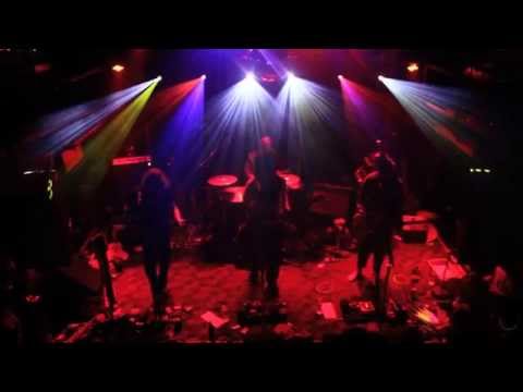 Pigeons Playing Ping Pong - Set 2 - 1/3/15 8x10