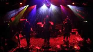 Pigeons Playing Ping Pong - Set 2 - 1/3/15 8x10