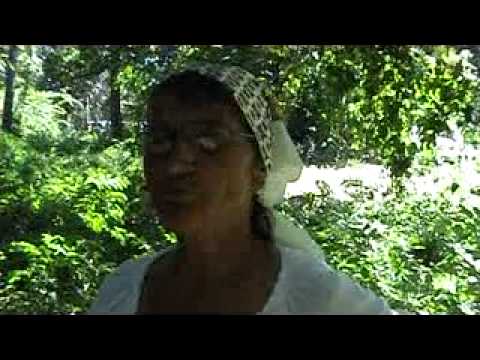 Prezentare targ - ASAS_Radio3net - FLORIAN-PITTIS