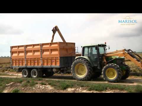 Die Reiskammer Spaniens - das Ebrodelta