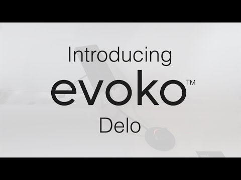 Introducing Evoko Delo