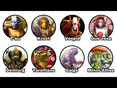 Every Race of the T'au Empire Explained in 9 Minutes