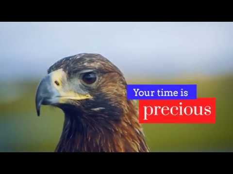 Mealgaadi Online Food Ordering video thumbnail