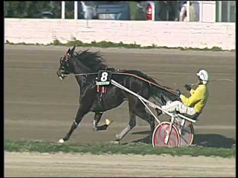 Trotto 15/11/2015 - 1° corsa