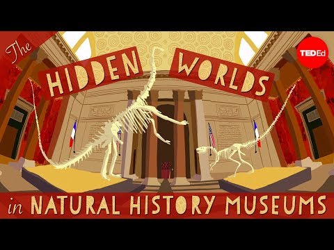【TED-Ed】The hidden worlds within natural history museums - Joshua Drew