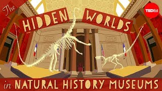 The hidden worlds within natural history museums – Joshua Drew