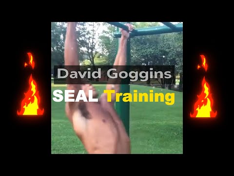 David Goggins WORLD RECORD PULL UP attempt - Exceptional grip strength