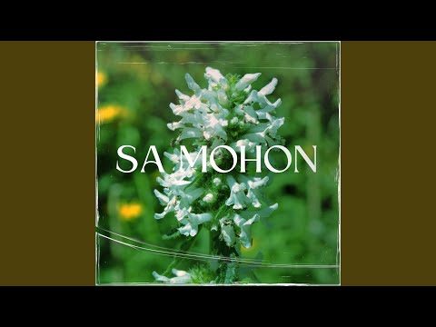 SA MOHON