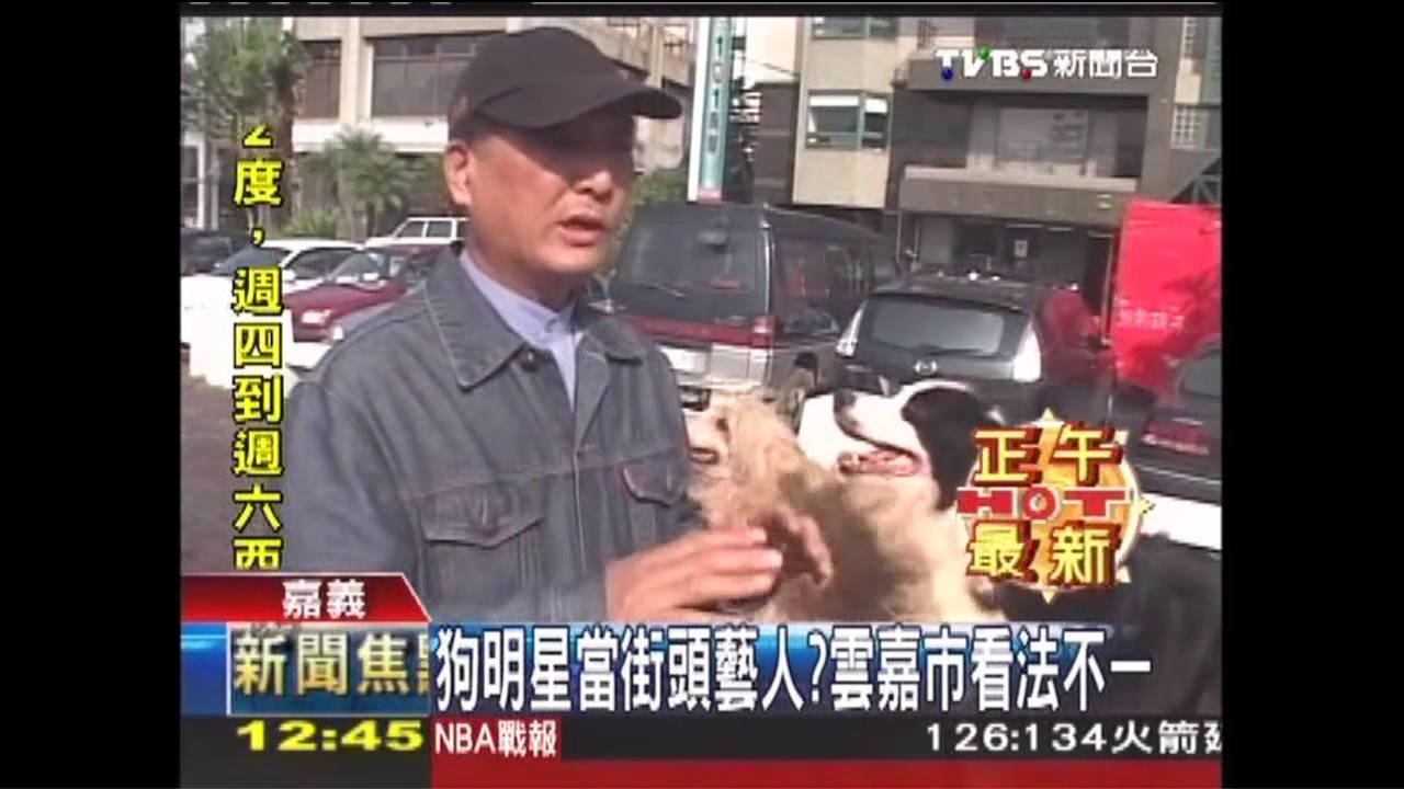 狗明星當街頭藝人？　雲、嘉看法不一