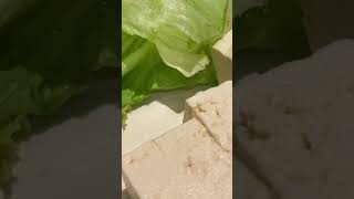 しゃぶ葉パワー