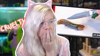This YouTuber Harms Their Axolotl For Views