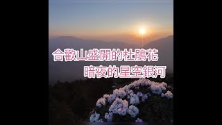 合歡山的杜鵑與銀河