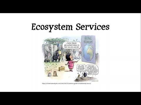 2.2 Ecosystem Services