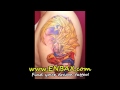 Dragonball Tattoos