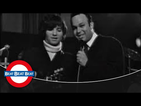 Interview - The Mindbenders (1966)