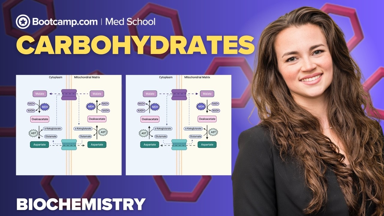 Biochemistry Chapter 5 | Carbohydrates: Gluconeogenesis, Fructose, Galactose, and the Polyol Pathway