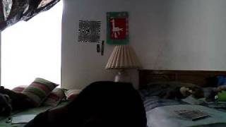 Love Comes The Posies + Another Day in paradise Copeland