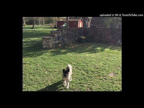 Reimo Weissbach - Aja Masin 2019