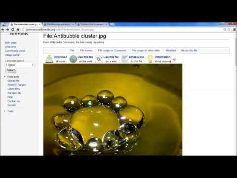 Tracking Information Seeking to Support Information Literacy