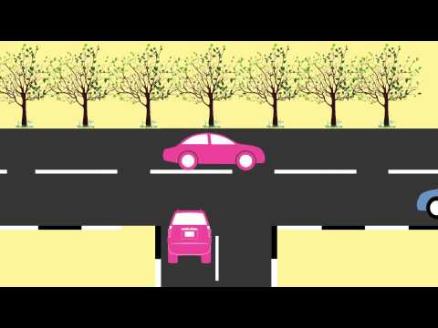 The difference between men and women driver