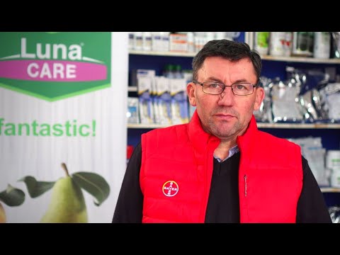 Experiența fitofarmaciștilor: produsele bune duc la profit