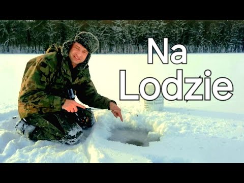 Predators from Under the Ice, They Bite on Blache