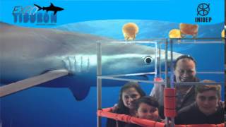 DIA 3 Expo Tiburon140