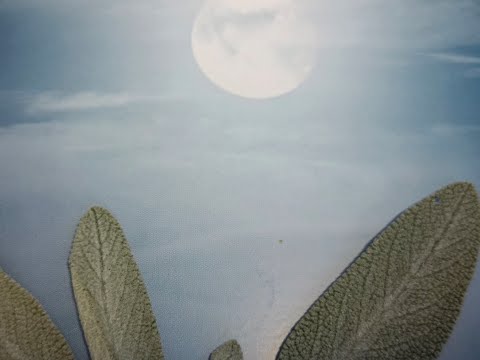 Moćna meditacija u vrijeme punog mjeseca ⚜️#snagamisli