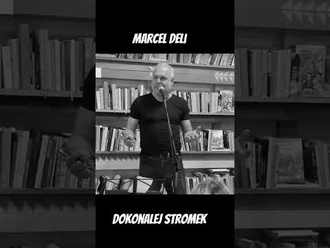 Dokonalej stromek (audio fejeton)