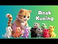 ANAK KUCING Meong Meong Lagu Anak Indonesia Populer Lucu Terbaru 2026 Animasi 3D
