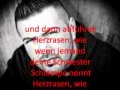 Herzrasen- Summer Cem (mit Songtext) 