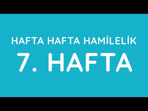 Week 7 - Pregnancy Week by Week - Pregnancy | Anneysen.com