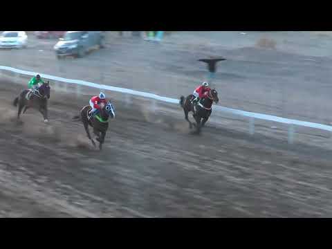 DON CARLOS  Club Hipico Añelo - Añelo -  03/09/2023