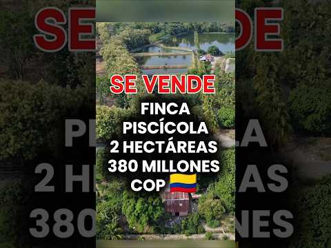 SE VENDE / FINCA PISCÍCOLA (2) Hectáreas. #llanosorientales #colombia #lejaniasmeta