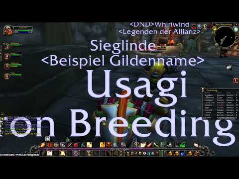 First time Shadowfang Keep in Hardcore Classic WoW