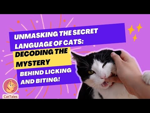 Unmasking the Secret Language of Cats: Decoding the Mystery Behind Licking and Biting!