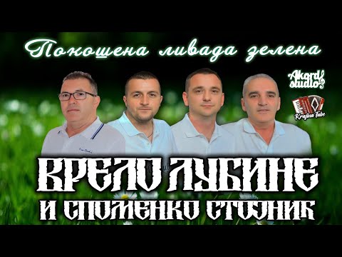 Vrelo Lubine - Pokošena livada zelena - Kozaračka ojkača (Audio 2024)