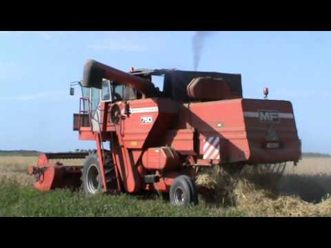 Loonw. Maes - Brugge