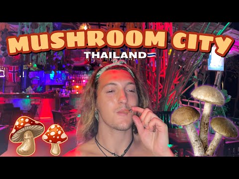 Magic Mushroom City in Thailand