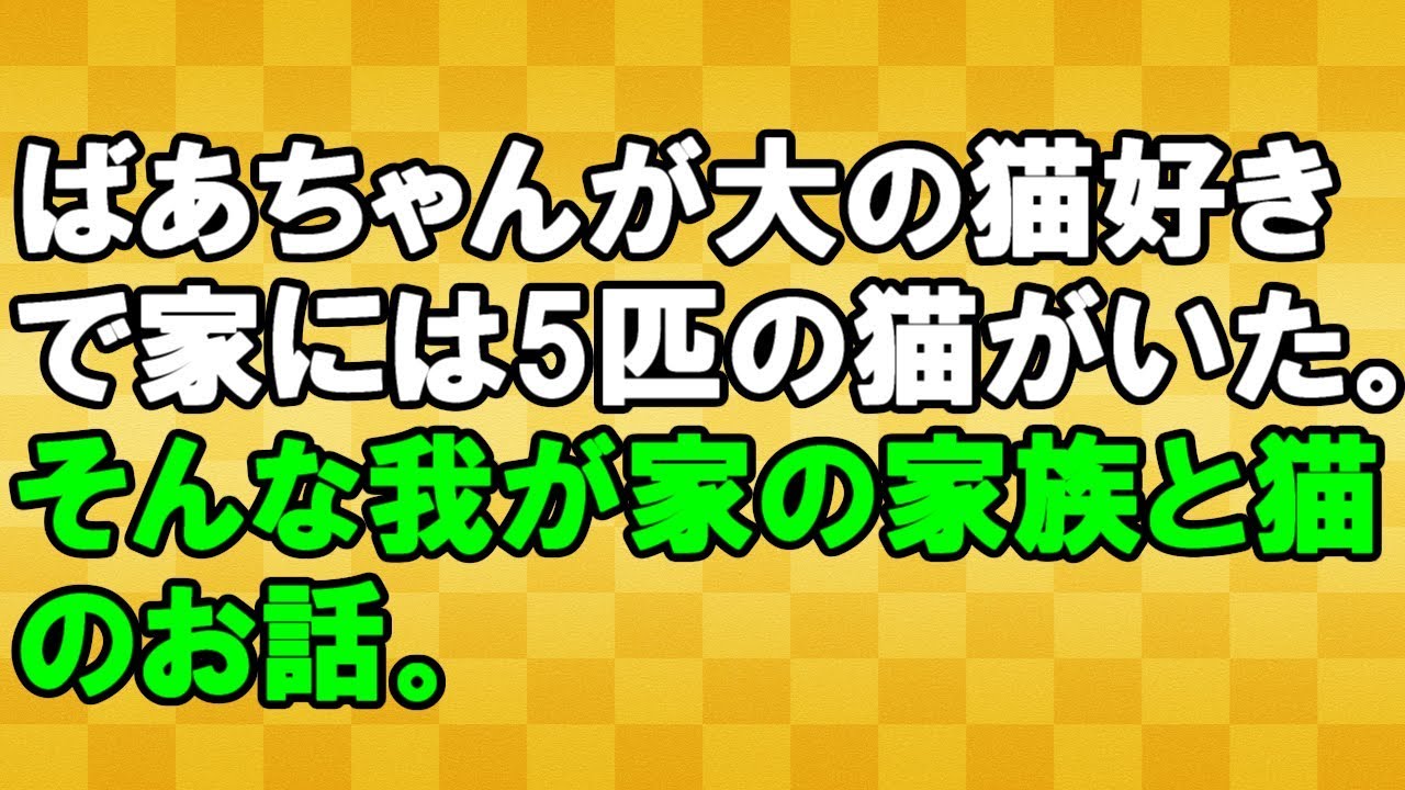 【じんわりする話】家族と猫のお話＜スカッとまつり＞